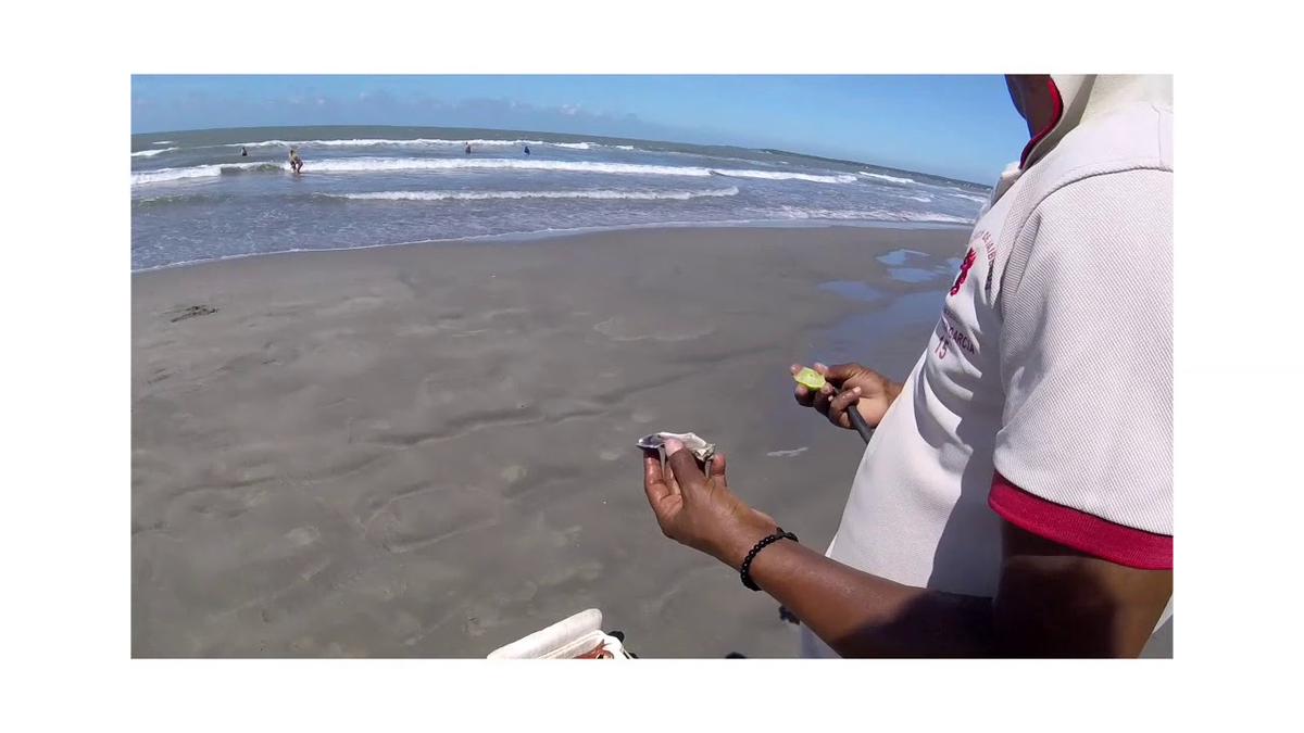 'Video thumbnail for Fresh and delicious 😋 oysters and 🦀 on Playa La Boquilla beach'