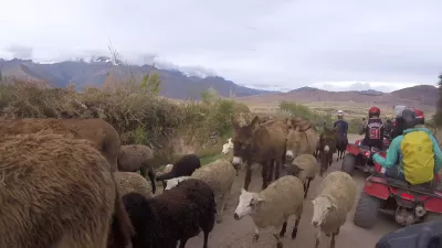 Haruskah Anda Pergi Untuk Tur Atv Cusco Quading Dalam 1 Hari? Iya! : Melewati kawanan domba