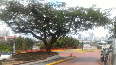 2 Stunden zu Fuß in Casco Viejo, Panama City : Baum auf Casco Viejo