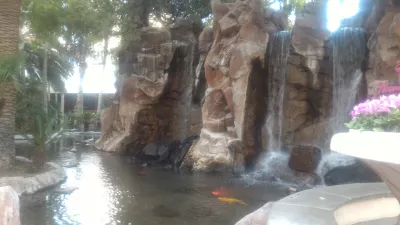 Walking on the best parts of Las Vegas strip up to the neon museum : Pond with colorful fishes in Flamingo hotel