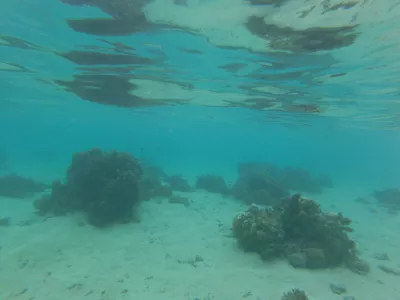 Plazhi më i mirë për snorkeling në lagjen Tahiti të lagunës : Snorkeling nën ujë