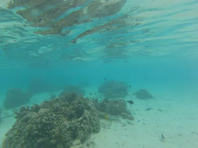 A legjobb snorkeling strand Tahiti lagúna paradicsoma : A világ egyik legjobb snorkeling strandján