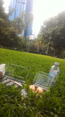 Edinstvene in poceni stvari za početi v Brisbaneju, da nikoli ne bo dolgčas v Brisbaneu! : Sushis v travi pod nebotičniki
