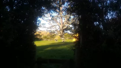 Recorrido por el set de filmación de Hobbiton, una visita a la aldea hobbit en Nueva Zelanda : El campo de fiesta