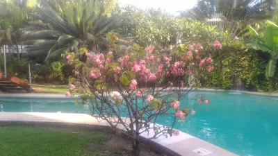 Com'è la piscina più lunga della Polinesia? : Albero in fiore, fontana e piscina