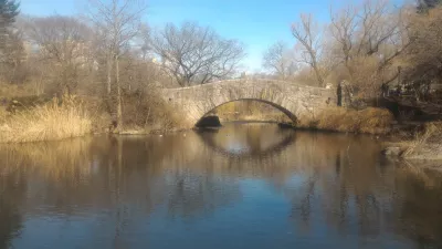 ნიუ-იორკის ცენტრალური პარკი უფასო გასეირნება ტური : ჩვეულებრივი მანდარინის იხვი მდებარეობა ხიდის ქვეშ