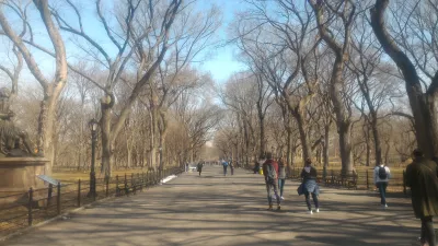 ניו יורק הפארק המרכזי ללא תשלום סיור הליכה : סמטה ישרה בסנטרל פארק