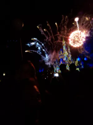 Bagaimanakah lawatan sehari di Disney Magic Kingdom? : Selfie di hadapan istana Cinderella semasa paparan bunga api