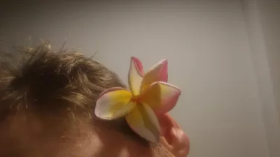 Kāda ir taitu ziedu tradīcija? : Valkājot ziedu aiz kreisās ziedu auss