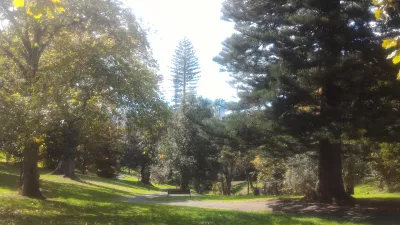 En promenad i Western Park Auckland i Ponsonby : Park och stad